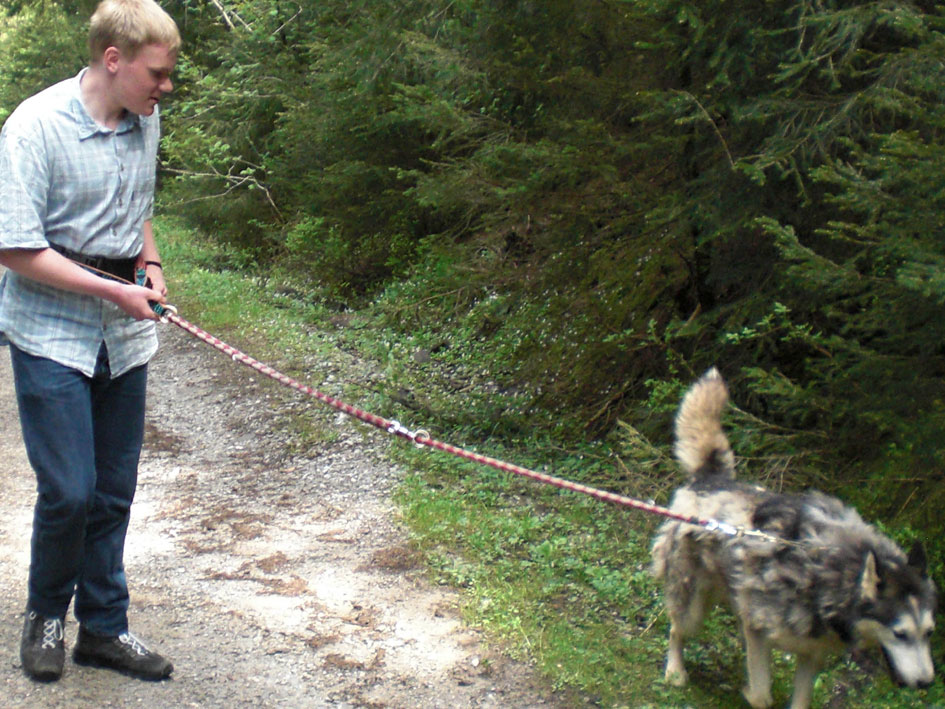 Ein Mann führt einen Hund an der Leine während eines Spaziergangs.