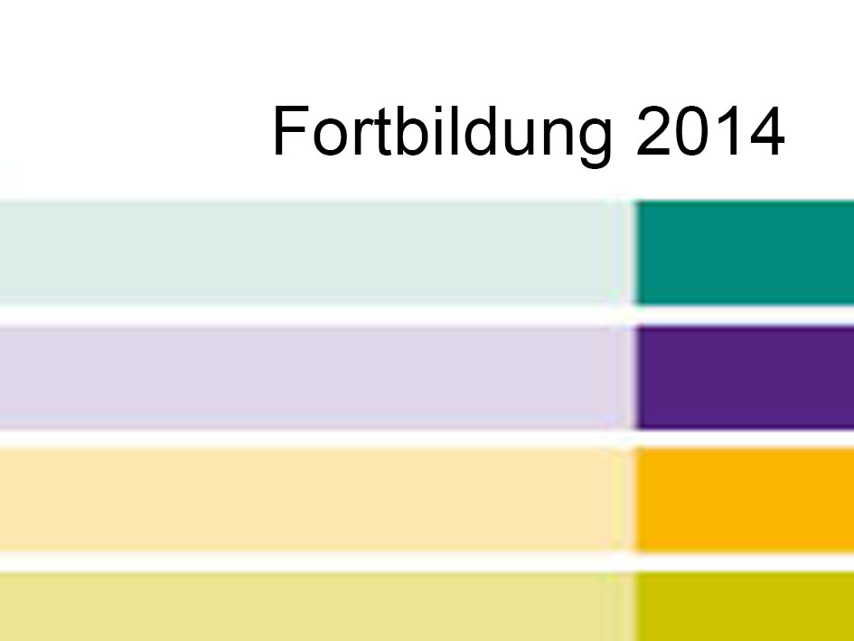 Fortbildung 2014: Gruppe von Fachleuten in einem Seminarraum, aktiv am Lernen.