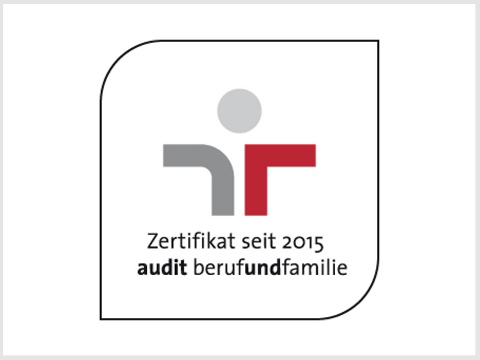 Logo der Zertifizierung Set 2015, das die Qualität und Standards des Programms symbolisiert.