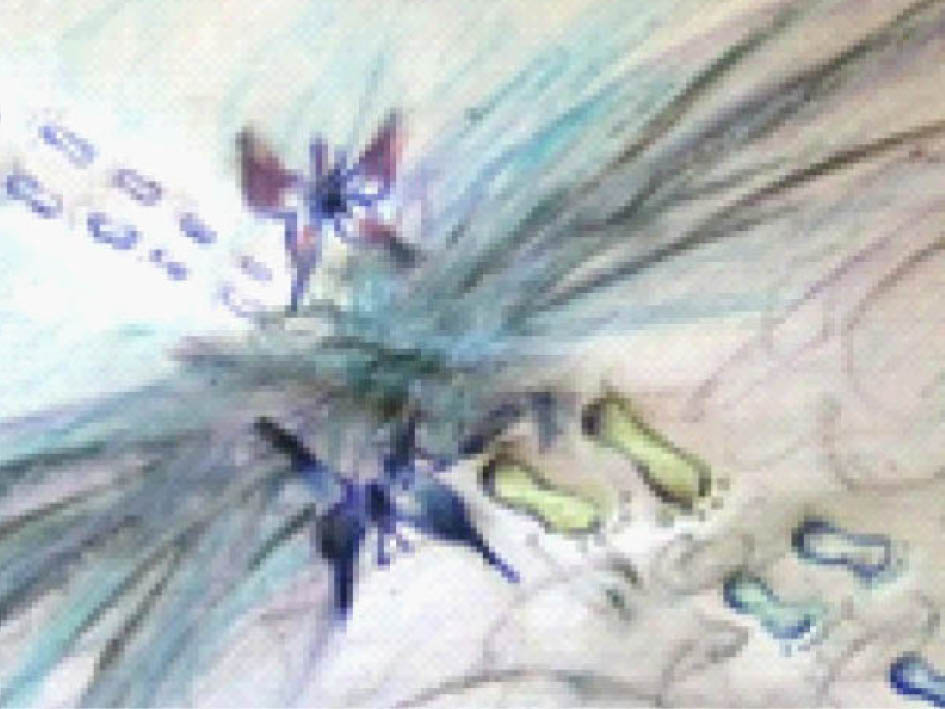 Eine Zeichnung eines Schmetterlings mit einer Blume auf seinen Flügeln.