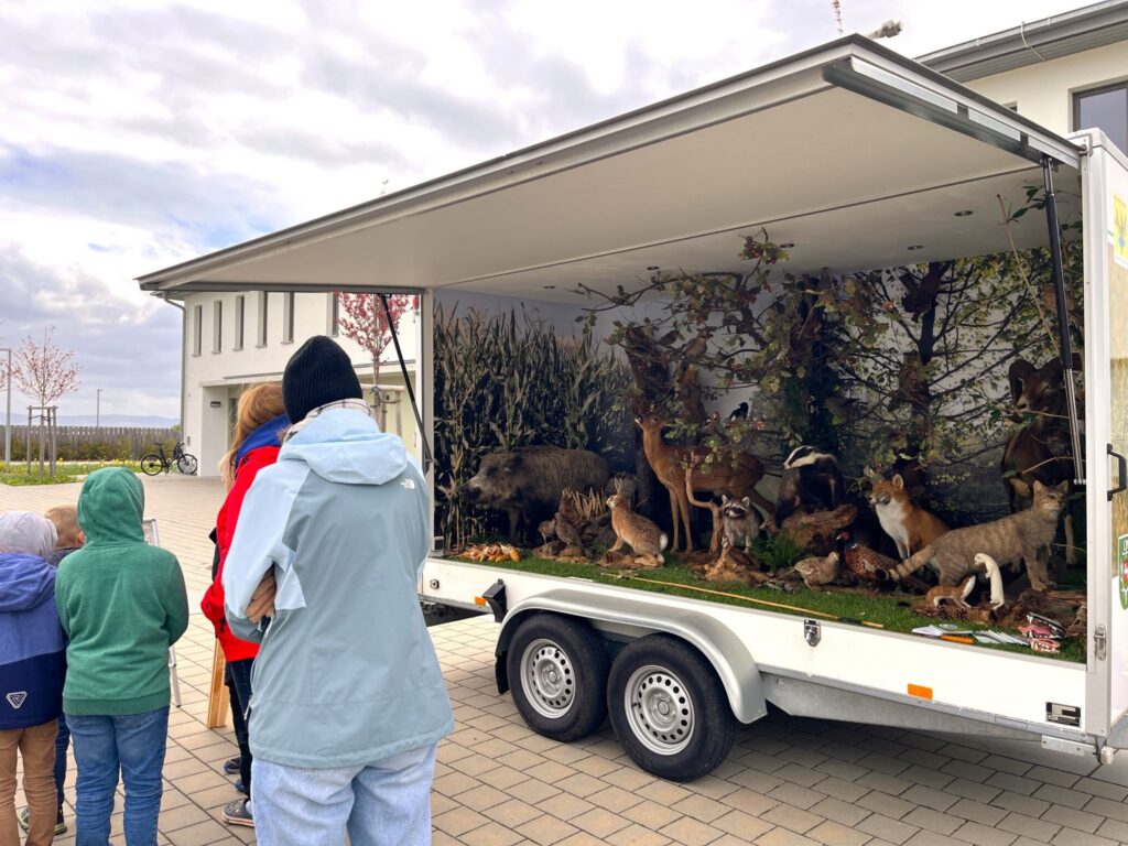 Kindergruppe betrachtet Anhänger mit Waldtieren, Wildschwein, Reh, Fuchs, Dachs, Hase, Wildkatze, Fasan und Bäumen. Naturerlebnisse für Kinder.