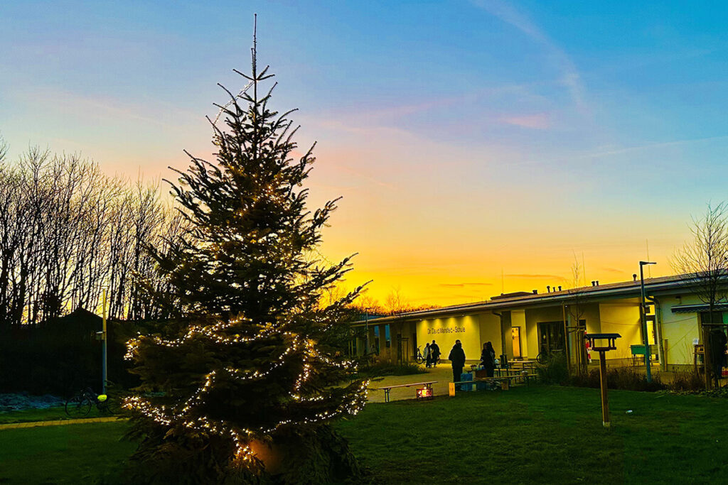 Ein Weihnachtsbaum steht inmitten eines grünen Feldes.